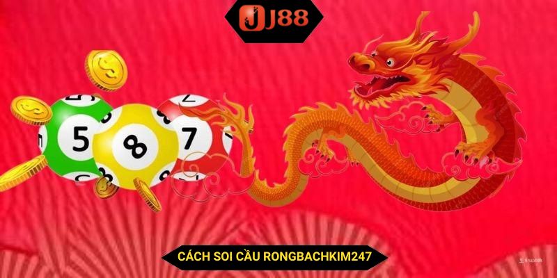 Cách soi cầu rongbachkim247 chuẩn